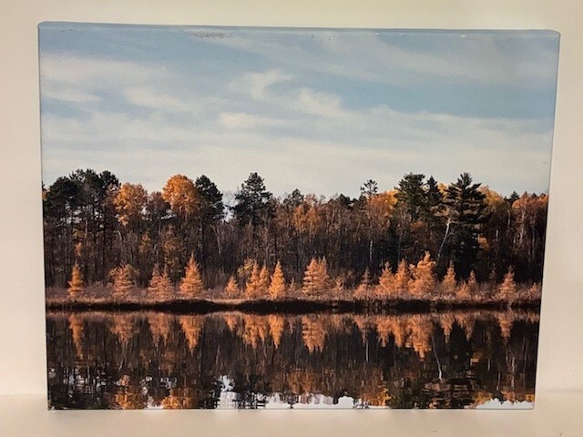 Canvas of Fall Trees - high quality canvas