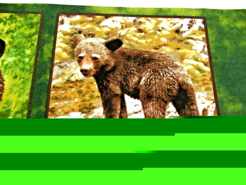 GIORDANO "BEARS IN NATURE" ~ (FABRIC / WALL HANGING) ~ ** (20" X 7") ** #30 gallery