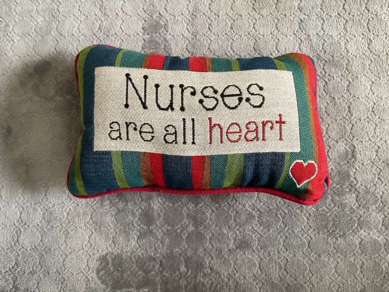 Nurse pillow “Nurses are all heart”