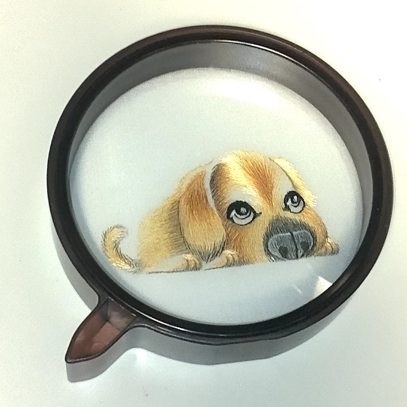 Chinese Silk Embroidery Round Double Sided Framed Puppy Dog Stitch Metallic Shu