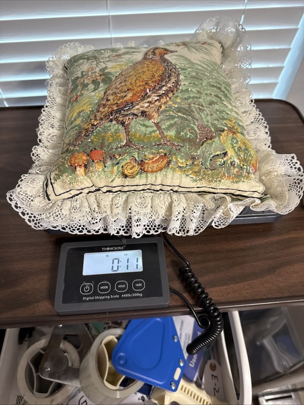 Unique Cotton-Sateen Quilted Pillow Grouse Two Layers of Lace 9x10 Clean gallery