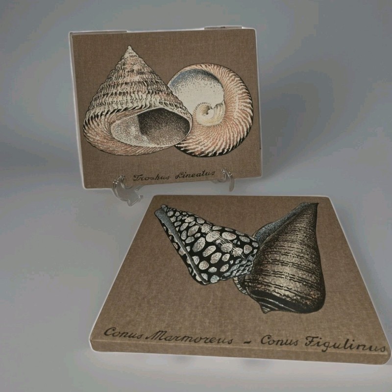 Puffy Shell Art Pictures Sea Ocean Names Coastal Beach Retro VTG 2 Pieces