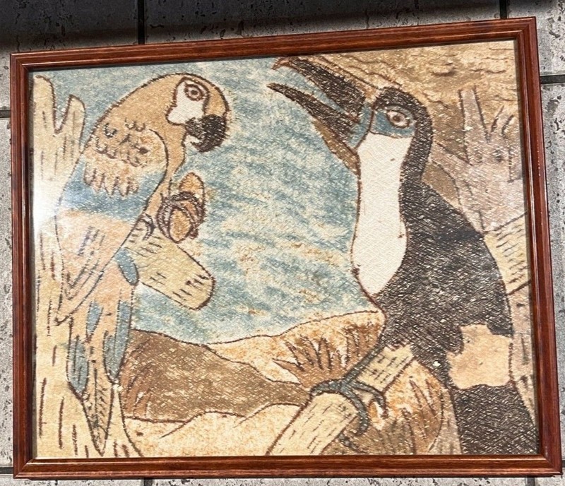 Needle Felting Parrot and Toucan Wool Painting Tapestry Art Framed Under Glass