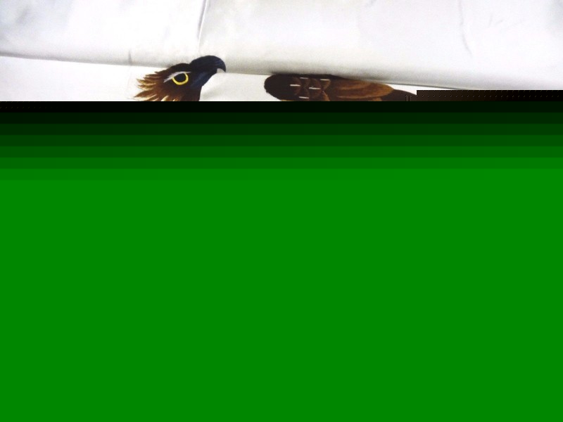 Handwoven Silk Chinese Embroidery – Eagles and Sun (120 cm x 73 cm) #1