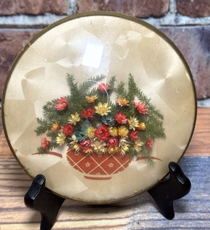 Vtg Peter Watson Studio Dried Flower Basket Bubble Glass Convex Wall Art Kitsch