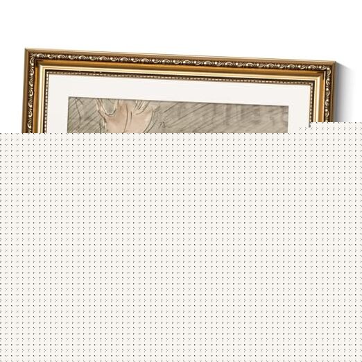 Vintage Gold Framed Wall Art, Farmhouse Nursery Duck 16″L x 13″W Eenden