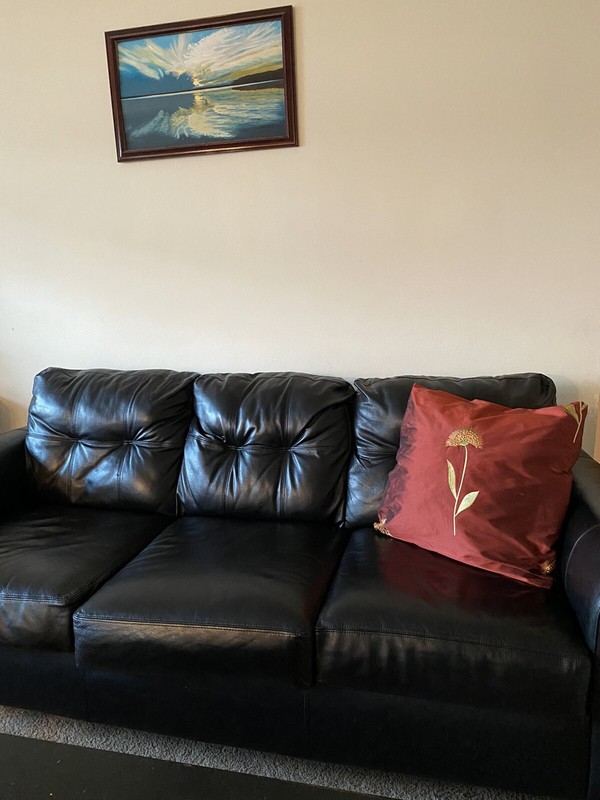 Luxury pillow cover 20x20 Inches. 100% silk .Handmade. Double Sided. gallery