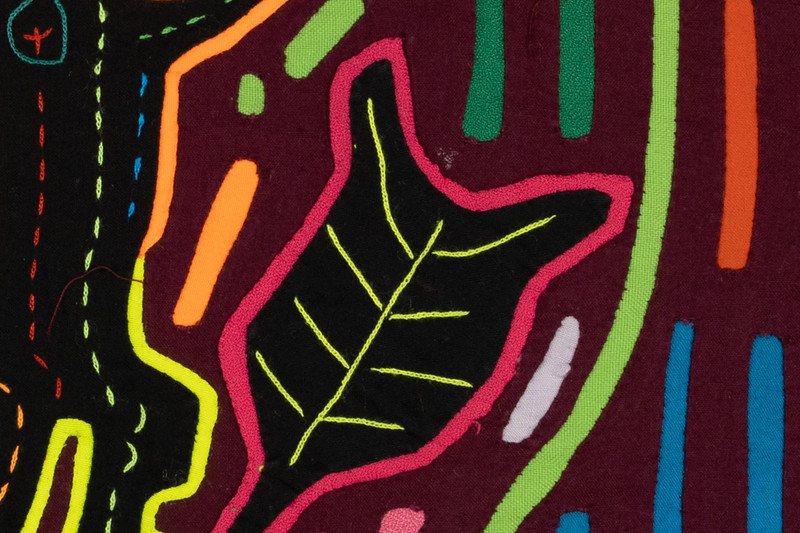 King of the Jungle Mola gallery