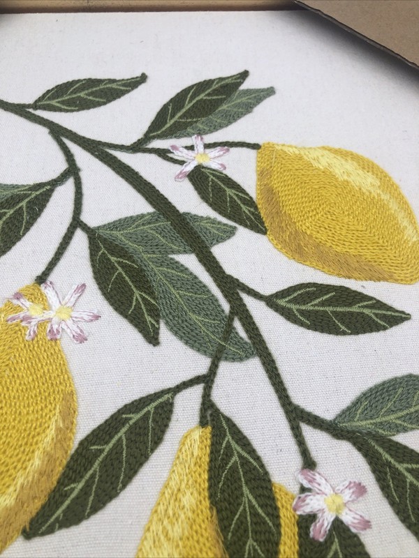 New BP Home Textile Embroidery Woven Framed Wall Art Lemons Yellow Fruit 12”x15” gallery