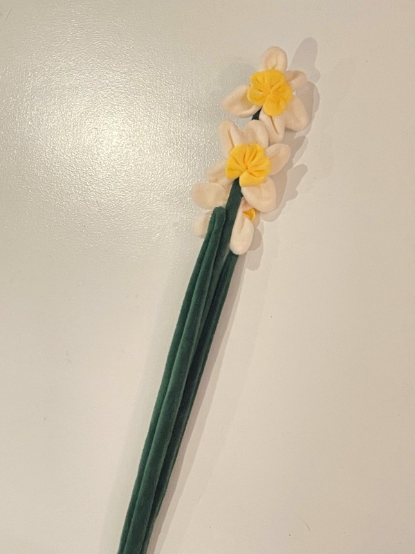 CJ Hendry Flower Shop daffodil bloom