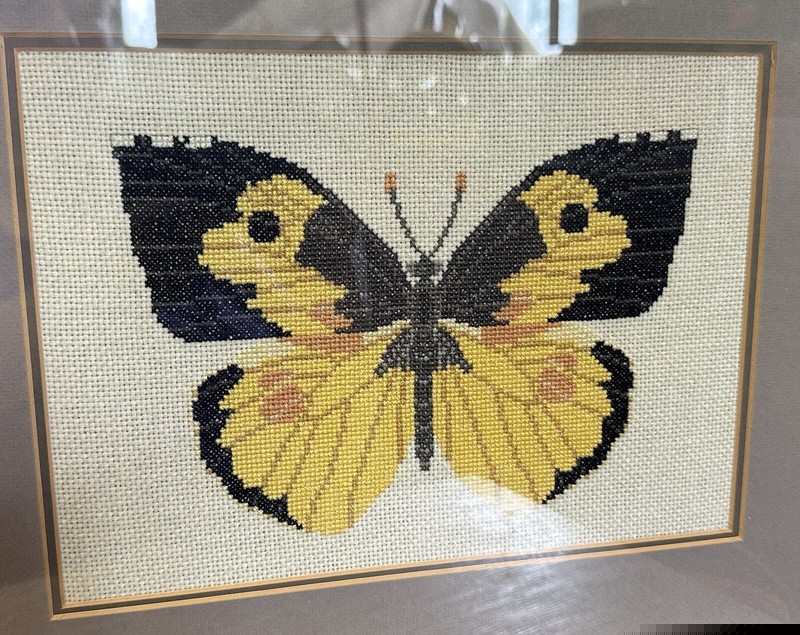 Vintage Yellow BUTTERFLY Handcrafted Needlpoint in Frame Gary Scow SPRINGTIME