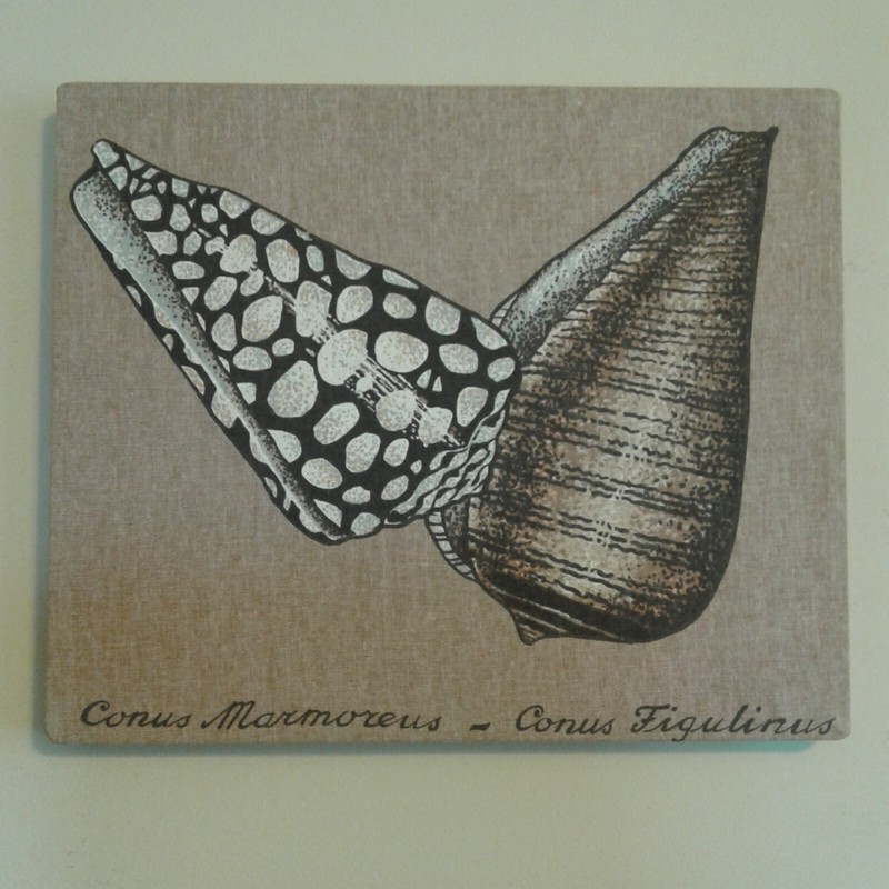 Shell Fabric Wall Hanging Art Conus Figulinus Marmoreus Textile Screen Print Sea
