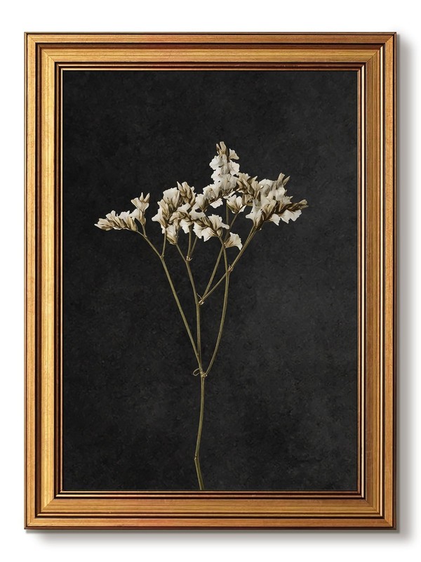 Vintage Gold Framed Wall Art, Retro Dark Dried Flower Paintings, Moody Floral...