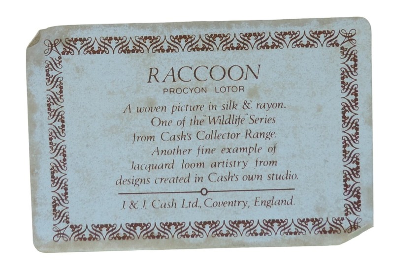 Cash's of Coventry Silk Woven Picture - Wildlife - Raccoon gallery