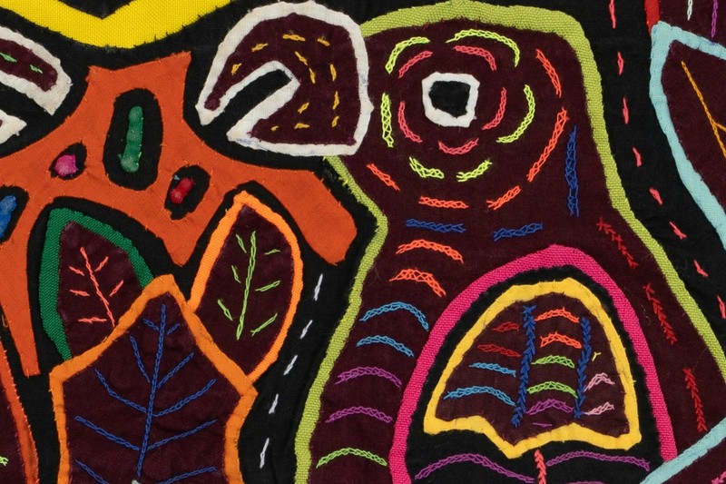 Gossip Parrot Bird Mola gallery