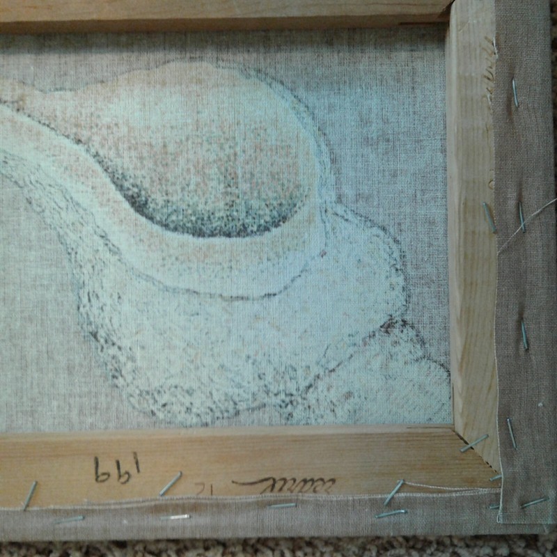 Shell Fabric Wall Hanging Art Pleuroploca Gigantea Textile Screen Print Sea gallery