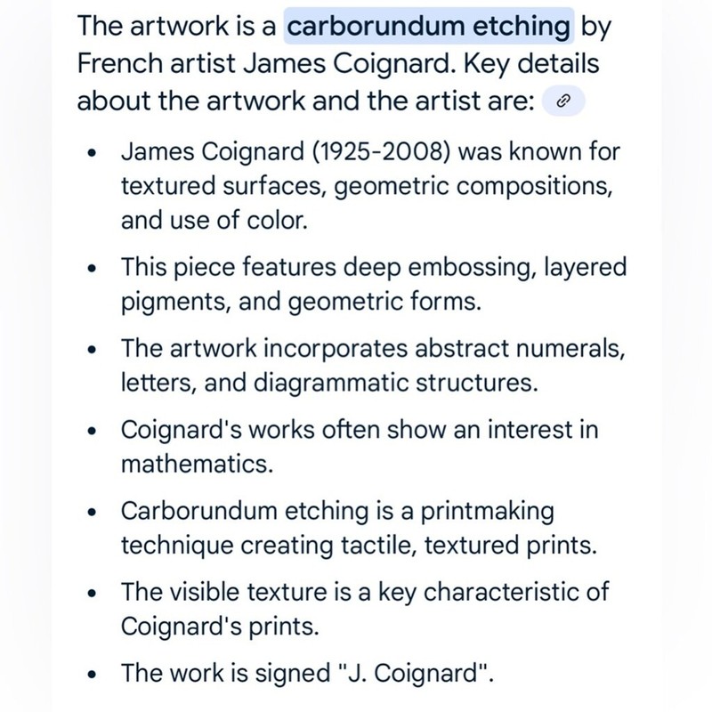 James Coignard Carborundom Etching Original Texutered Signed & Framed Art Work gallery