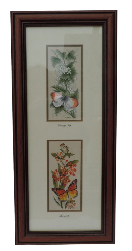 Cash’s of Coventry Silk Woven Picture – Double – Monarch & Orange Tip