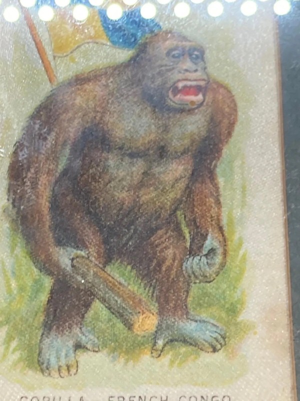 Vintage Silk Picture Cigarette Card , Framed &glazed, GORILLA • FRENCH CONGO gallery