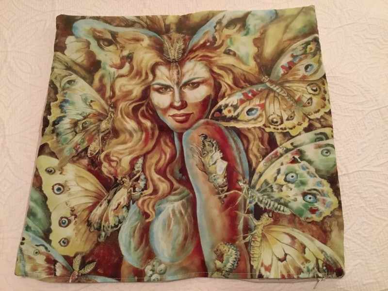 Beatriz Ramirez Silk Screened Pillowcase, Suede back NEW 17×17