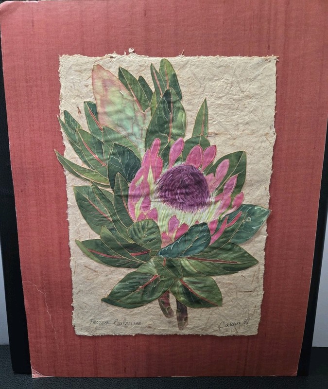 Vintage Signed Botanical Silk Art on Handmade Paper – Protea Roupelliae 1997