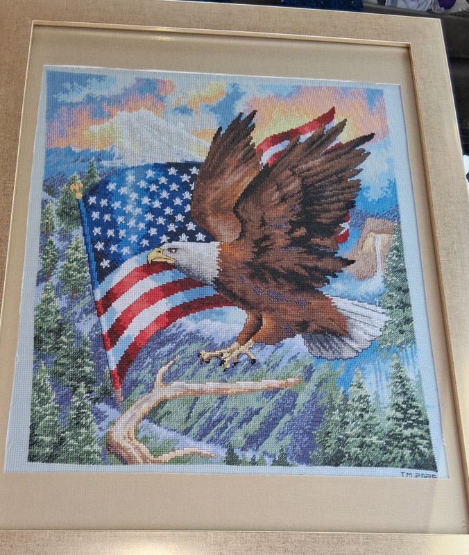 Finished Completed Eagle and USA flag Cross Stitch Fiber Art