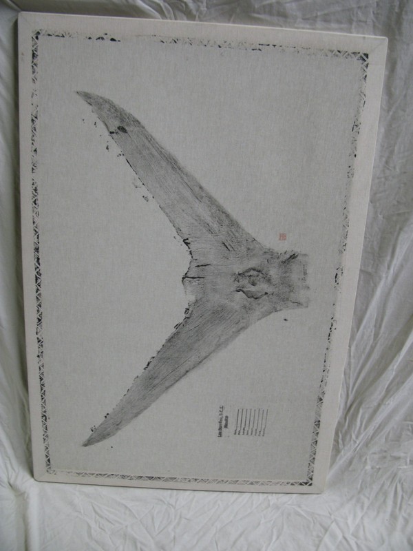 BILLFISH «TAIL IMPRINT ON CLOTH» In Frame From Los Barriles, Baja, Mexico.