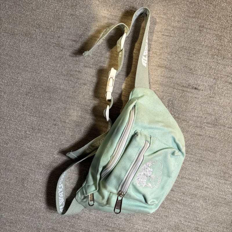 Grateful Dead ALWAYS GRATEFUL Sage Green Blue Canvas Fanny Pack Adjustable EUC gallery