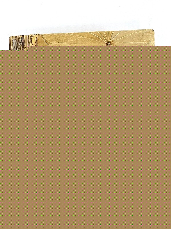 Handmade Paper Vegan Leather Journal Leaves Bark Palm Tree Turtle