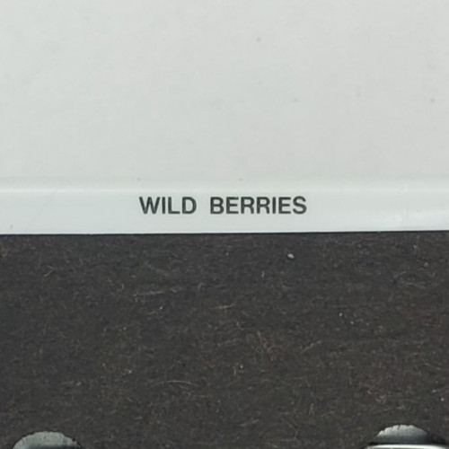 Wild Berries Wallhanging By Janet Page from Cranston Collection Pinback Button gallery
