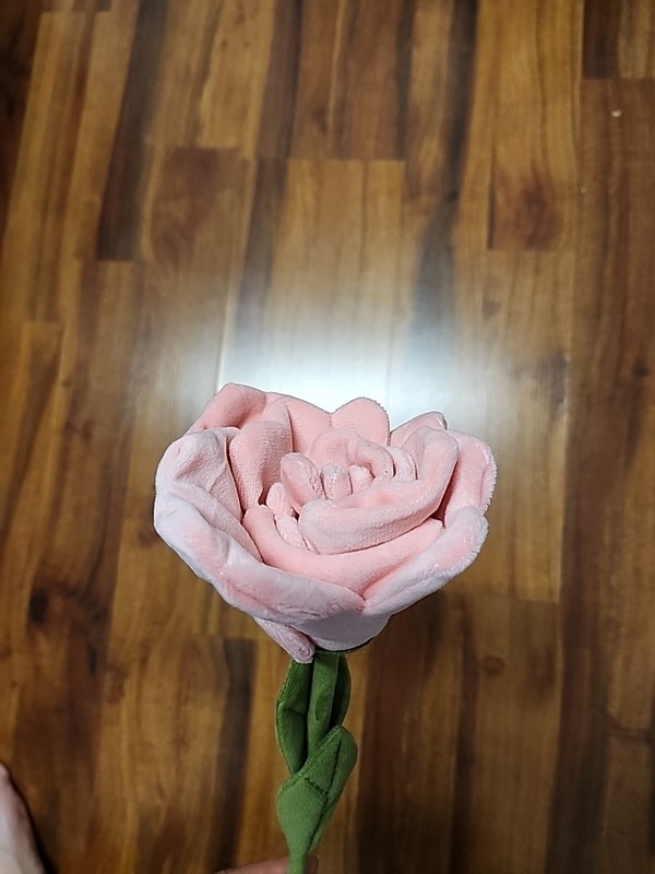 2025 CJ Hendry Flower Market NYC Pink Rose Flower gallery