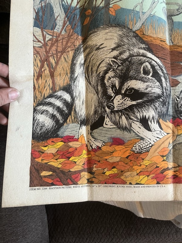 Raccoon Picture ,White Artspun ,item No.2284 Fall Season Three Raccoon gallery