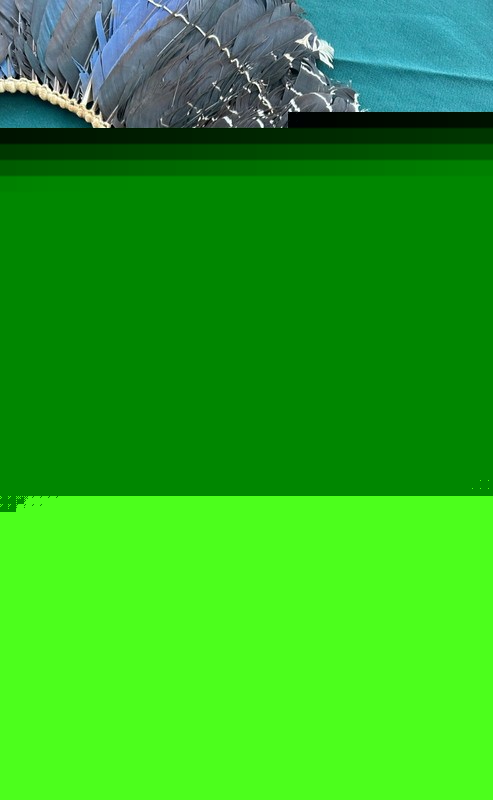Authentic AMAZONIAN BRAZILIAN Indigenous KAYAPO Feather Headdress~Receipt & Tag gallery