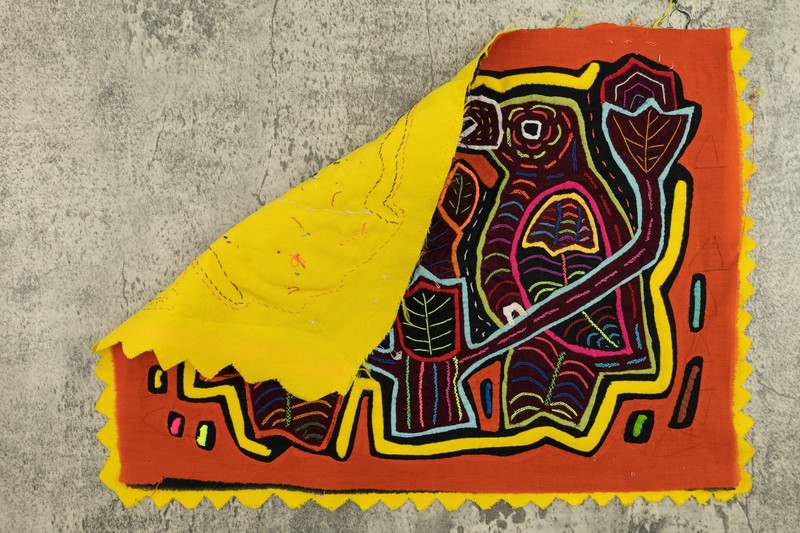 Gossip Parrot Bird Mola gallery