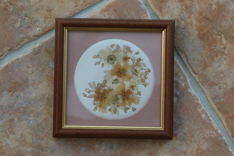 Framed Pressed Flower Picture by Joanna Sheen Pressed on Silk 6"/15cm Square