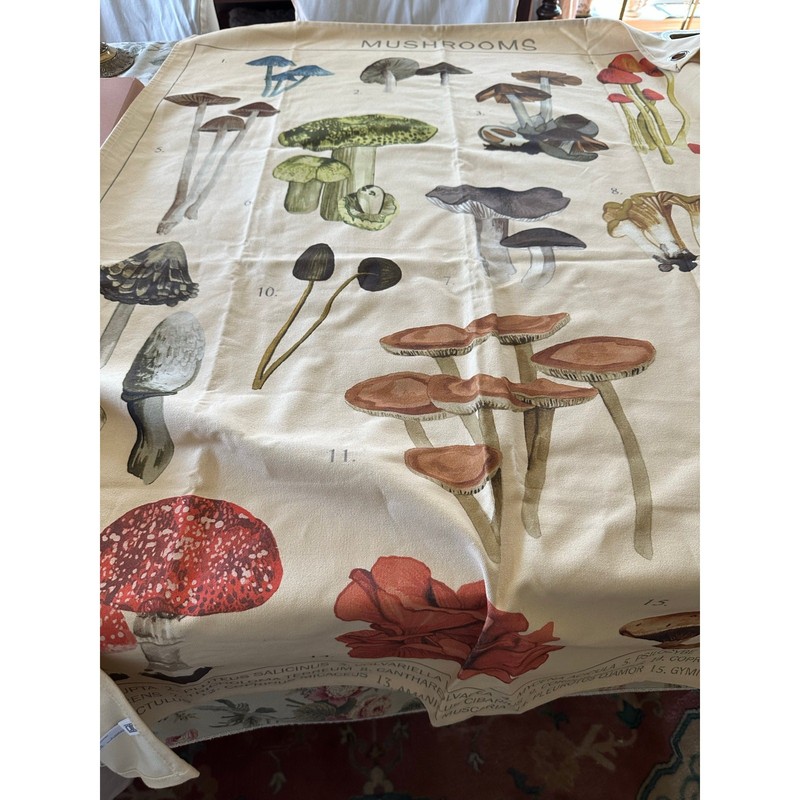 URBAN OUTFITTERS Canvas Tapestry Mushroom Illustrations wall hanging boho decor gallery