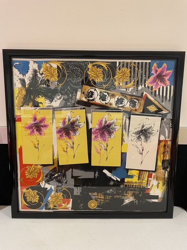 Beautiful Versace Silk Scarf Professionally Framed