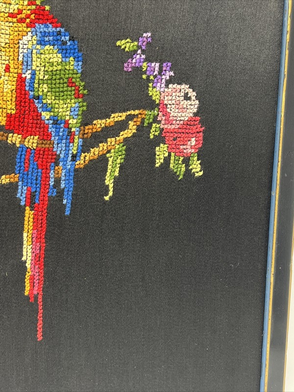 Vintage Parrot Cross Stitch Framed Picture 17” By 15” gallery