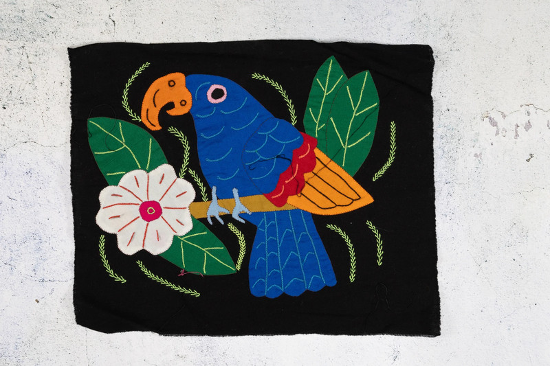 Blue Red And Orange Parrot with Flower Molita gallery