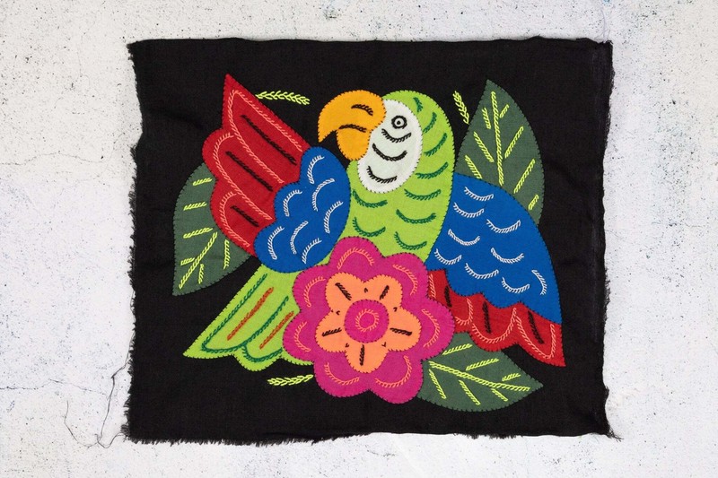 Green Blue And Red Parrot with Pink Flower Molita gallery
