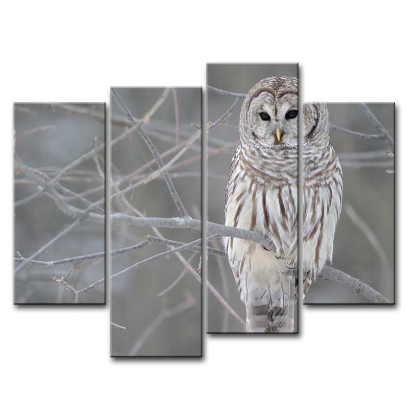 Owl Wall Art Painting White Owl in The Tree Prints On Canvas The Picture Anim...