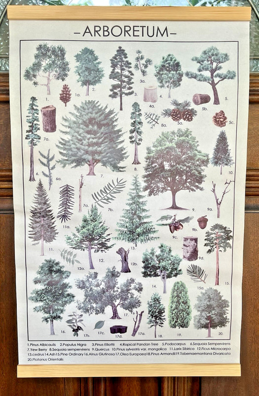 ARBORETUM WALL HANGING PASTEL GREEN COLORED TREES & NUT Images 28×16″