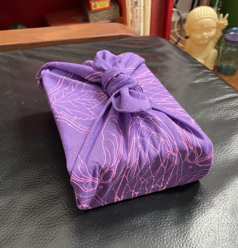Cicada Wing Bandana Design by lauraclaire66, purple & pink gallery