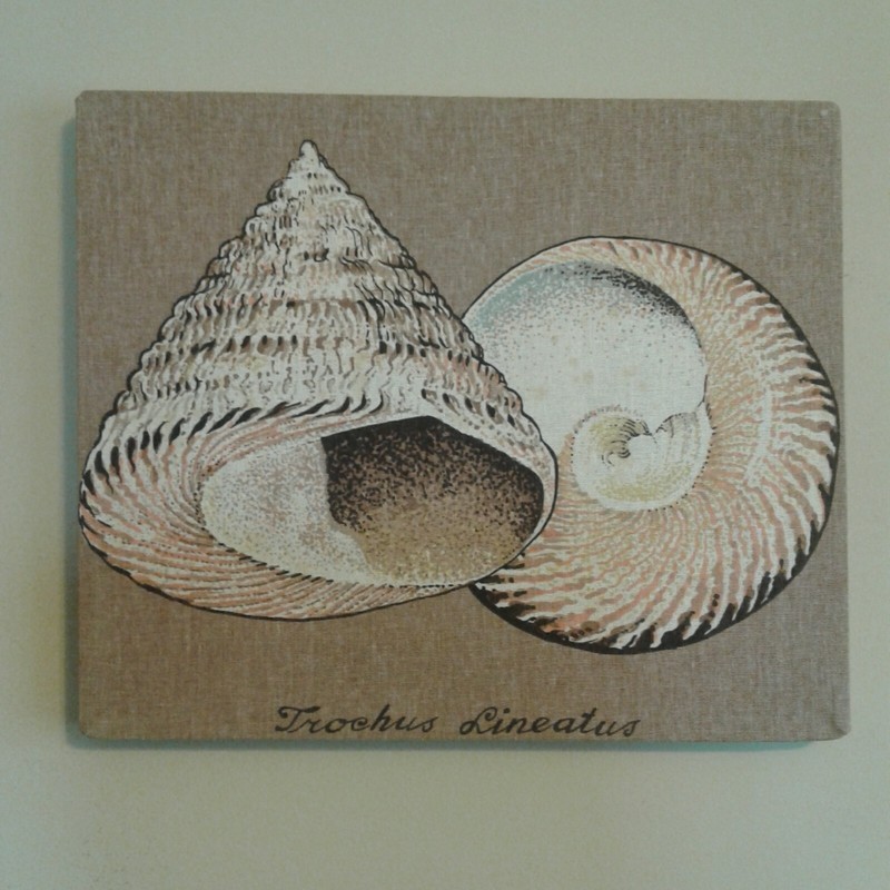 Shell Fabric Wall Hanging Art Trochus Lineatus Textile Screen Print Seashell
