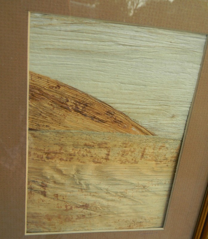 Banana Bark Art Matted and Framed Signed 11″ by 9″ including frame 1981