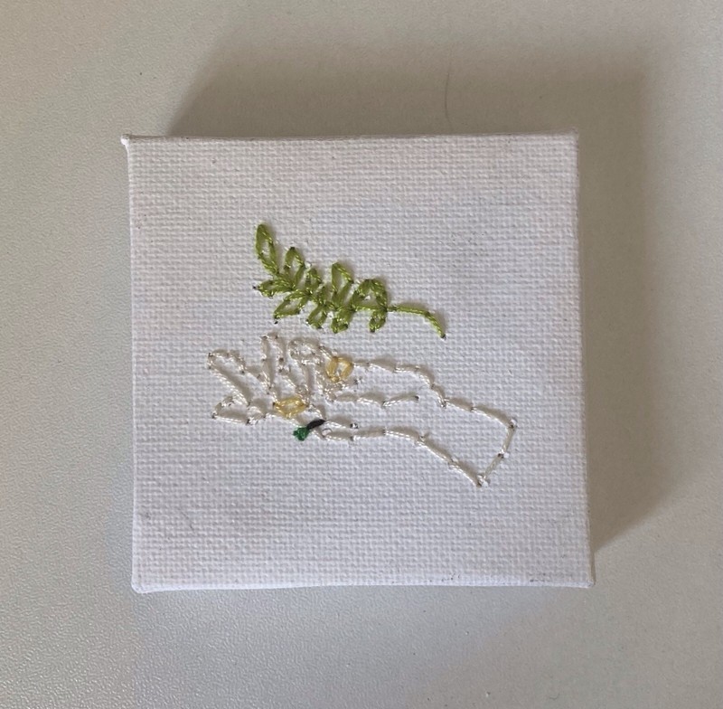 Plant Hand Embroidered Canvas