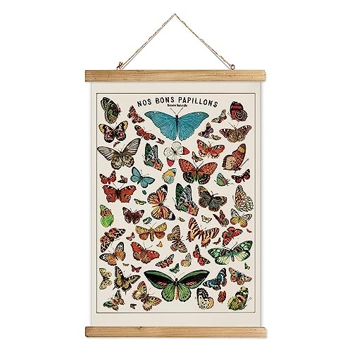 Vintage Butterfly Poster with Wooden Frame, 23″L x 16″W 1-Pack Butterfly（A）