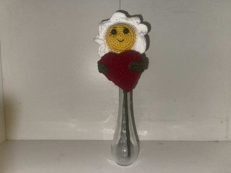 valentine’s day woven daisy
