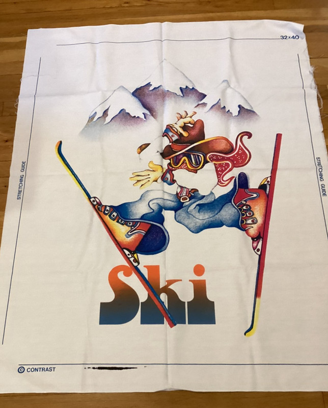 Contrast Inc. Fabric Wallhanging SKI BUM- Vintage Retro Mid Century gallery