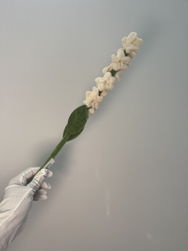 CJ Hendry Flower Shop cream flower